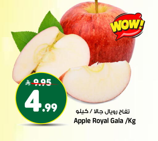 Apple available at المدينة هايبرماركت in مملكة العربية السعودية, السعودية, سعودية - الرياض