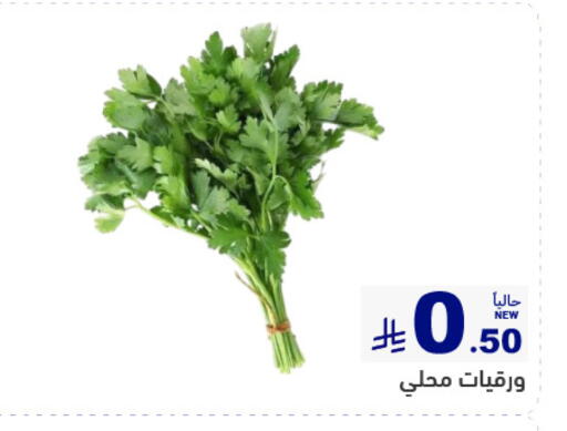 available at أسواق رامز in مملكة العربية السعودية, السعودية, سعودية - المنطقة الشرقية