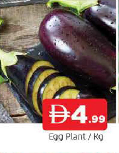 available at AL MADINA in UAE - Sharjah / Ajman