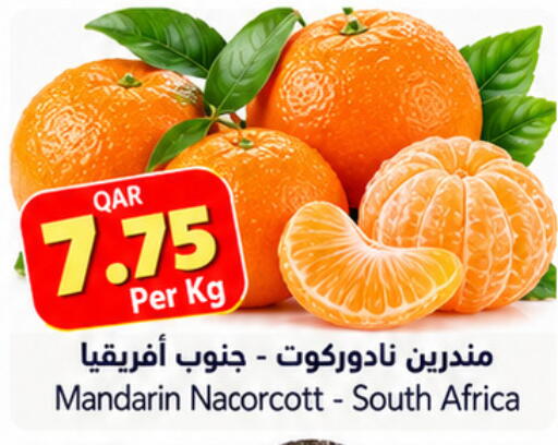 Mandarin from South Africa available at Gulf Food Center in Qatar - Al Shamal