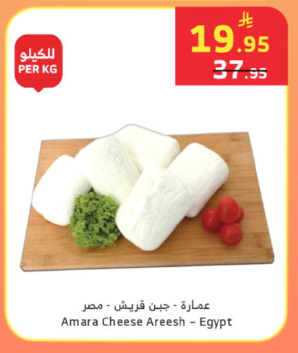 available at الراية in مملكة العربية السعودية, السعودية, سعودية - خميس مشيط