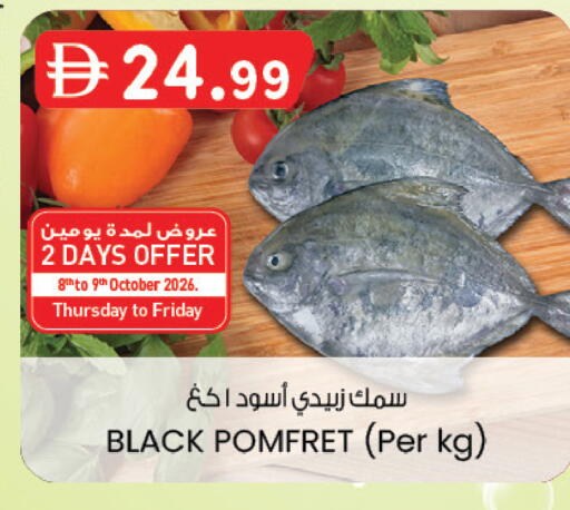 available at صفا هايبر in الإمارات العربية المتحدة , الامارات - ٱلْعَيْن‎