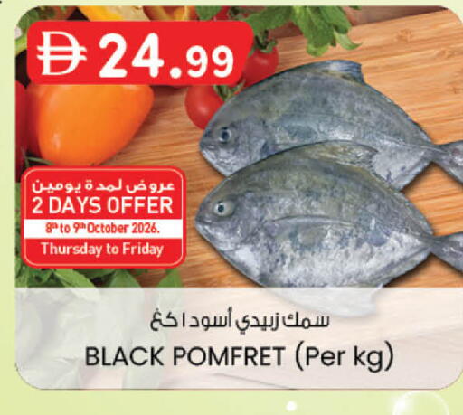 available at ك. إم. هايبرماركت in الإمارات العربية المتحدة , الامارات - ٱلْعَيْن‎