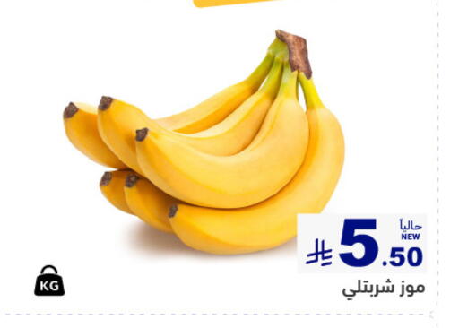 available at أسواق رامز in مملكة العربية السعودية, السعودية, سعودية - المنطقة الشرقية
