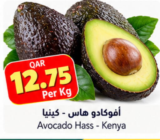 Avocado from Kenya available at Gulf Food Center in Qatar - Doha