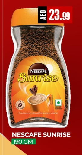 Chicory available at  RIVIERA SUPERMARKET L.L.C in UAE - Abu Dhabi