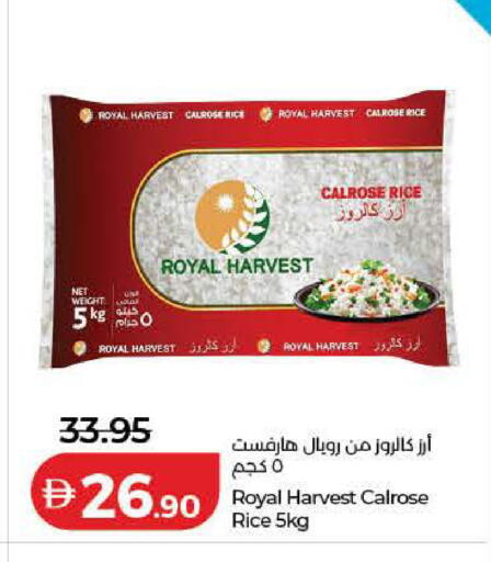 available at لولو هايبرماركت in الإمارات العربية المتحدة , الامارات - دبي