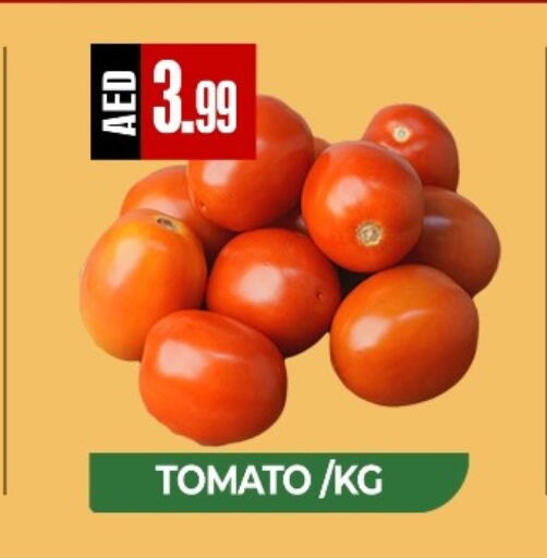 Tomato available at  RIVIERA SUPERMARKET L.L.C in UAE - Abu Dhabi