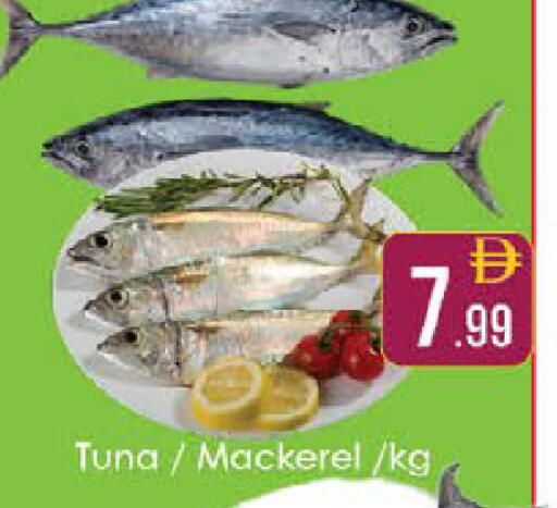 available at ايكو مول & ايكو هايبرماركت in الإمارات العربية المتحدة , الامارات - ٱلْعَيْن‎