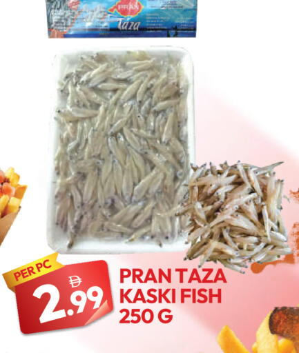 available at دريم لاند in الإمارات العربية المتحدة , الامارات - دبي