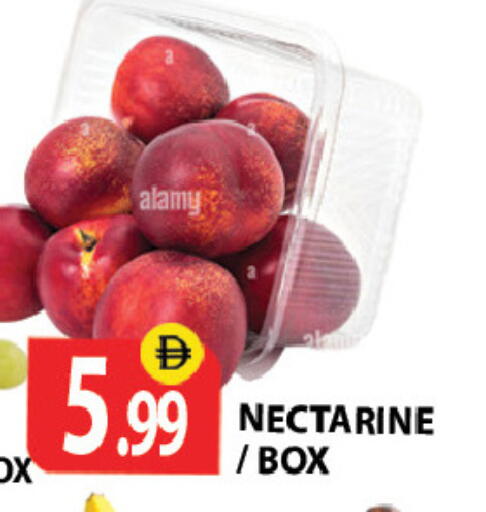 Nectarine available at زين مارت سوبرماركت in الإمارات العربية المتحدة , الامارات - رَأْس ٱلْخَيْمَة