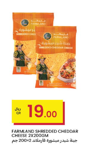 available at البلدي اليوم in قطر - أم صلال