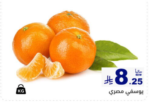 available at أسواق رامز in مملكة العربية السعودية, السعودية, سعودية - المنطقة الشرقية