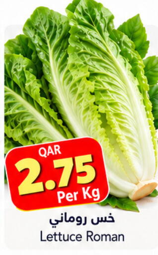 Lettuce available at Gulf Food Center in Qatar - Al Shamal