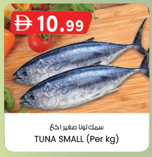 available at ك. الم. للتجارة in الإمارات العربية المتحدة , الامارات - ٱلْفُجَيْرَة‎