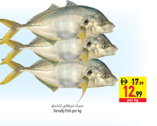 available at السفير ماركت in الإمارات العربية المتحدة , الامارات - ٱلْعَيْن‎