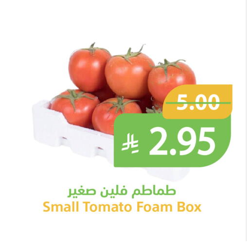 Tomato available at أسواق قاطبة in مملكة العربية السعودية, السعودية, سعودية - بريدة
