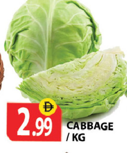 Cabbage available at زين مارت سوبرماركت in الإمارات العربية المتحدة , الامارات - رَأْس ٱلْخَيْمَة