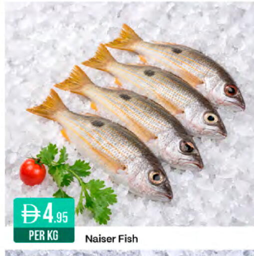 available at West Zone Supermarket in UAE - Sharjah / Ajman