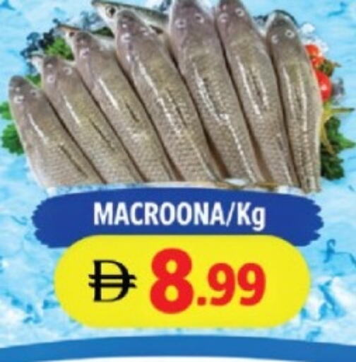 available at AL MADINA in UAE - Sharjah / Ajman