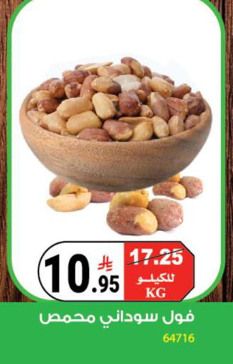 available at House Care in KSA, Saudi Arabia, Saudi - Mecca