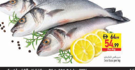 available at Safeer Market in UAE - Abu Dhabi