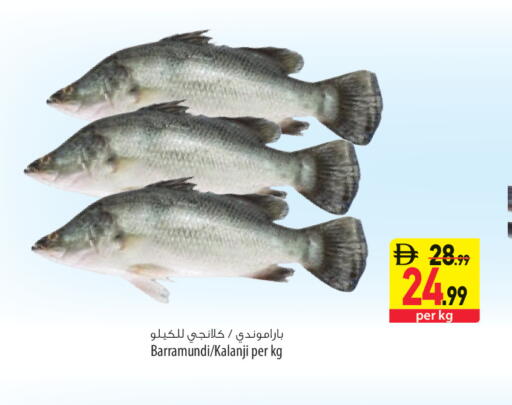 available at السفير ماركت in الإمارات العربية المتحدة , الامارات - ٱلْعَيْن‎