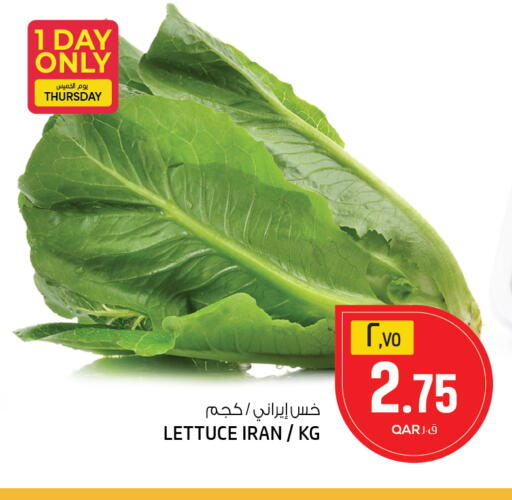 Lettuce from Iran available at السعودية in قطر - الدوحة