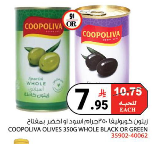 available at House Care in KSA, Saudi Arabia, Saudi - Mecca