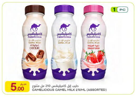 Strawberry available at شركة الميرة للمواد الاستهلاكية in قطر - الشحانية