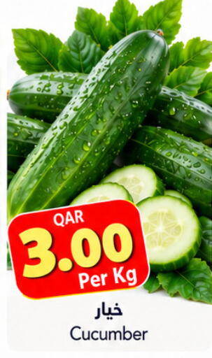 Cucumber available at Gulf Food Center in Qatar - Al Shamal