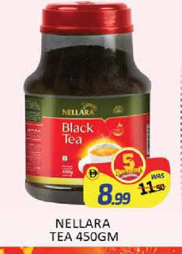Mango available at مانجو هايبرماركت in الإمارات العربية المتحدة , الامارات - دبي