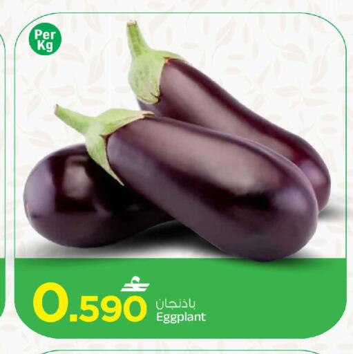 Eggplant available at MARK & SAVE in Oman - Muscat