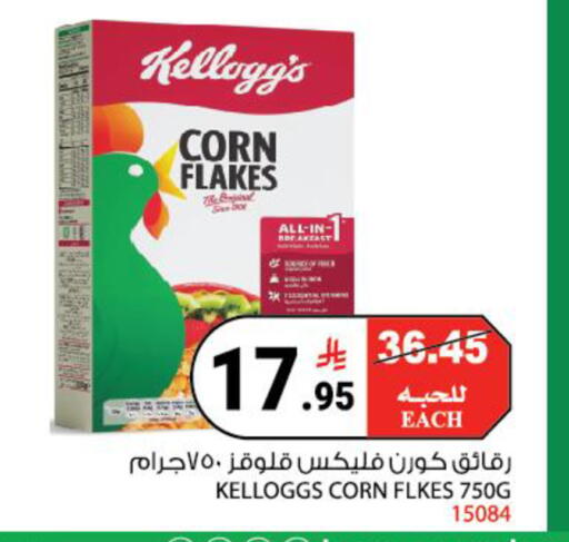 available at House Care in KSA, Saudi Arabia, Saudi - Mecca