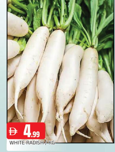 Radish available at AL MADINA in UAE - Sharjah / Ajman