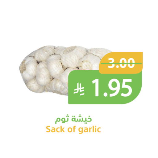 Garlic available at Qateba Markets in KSA, Saudi Arabia, Saudi - Buraidah