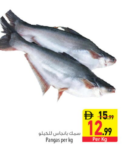 available at السفير ماركت in الإمارات العربية المتحدة , الامارات - الشارقة / عجمان