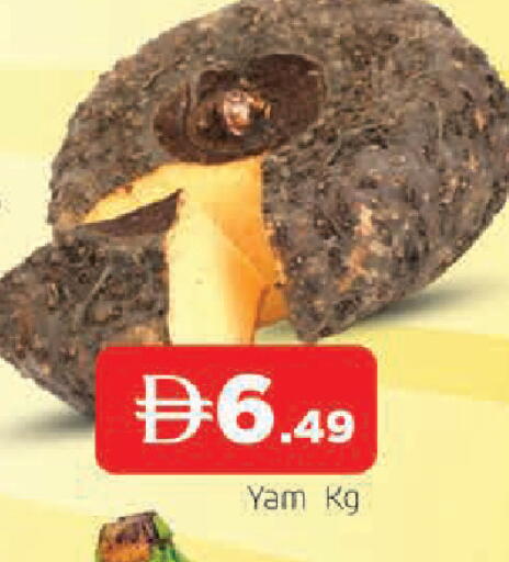 available at المدينة in الإمارات العربية المتحدة , الامارات - الشارقة / عجمان