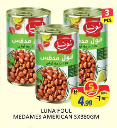 Mango available at مانجو هايبرماركت in الإمارات العربية المتحدة , الامارات - دبي