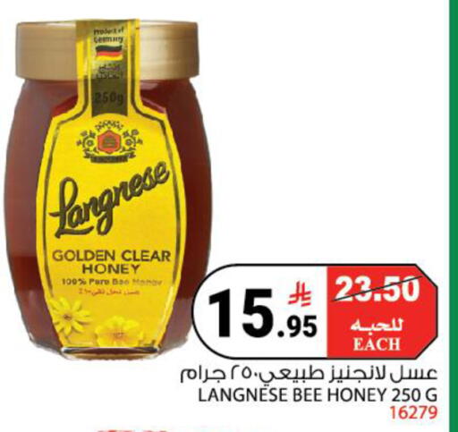 available at House Care in KSA, Saudi Arabia, Saudi - Mecca