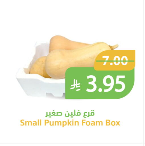 Pumpkin available at أسواق قاطبة in مملكة العربية السعودية, السعودية, سعودية - بريدة