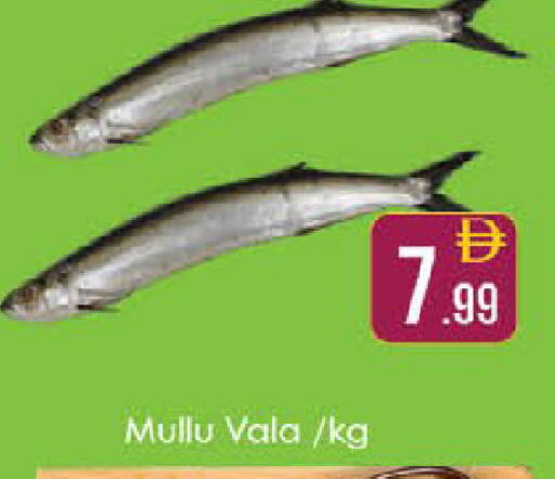 available at ايكو مول & ايكو هايبرماركت in الإمارات العربية المتحدة , الامارات - ٱلْعَيْن‎