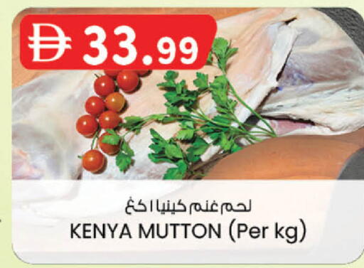 available at الصفا in الإمارات العربية المتحدة , الامارات - ٱلْعَيْن‎