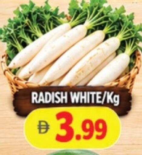 Radish available at AL MADINA in UAE - Sharjah / Ajman