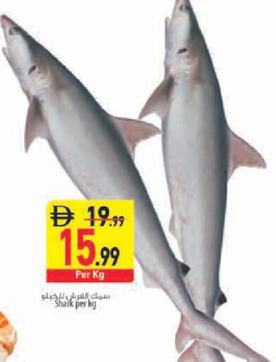 available at Safeer Market in UAE - Abu Dhabi
