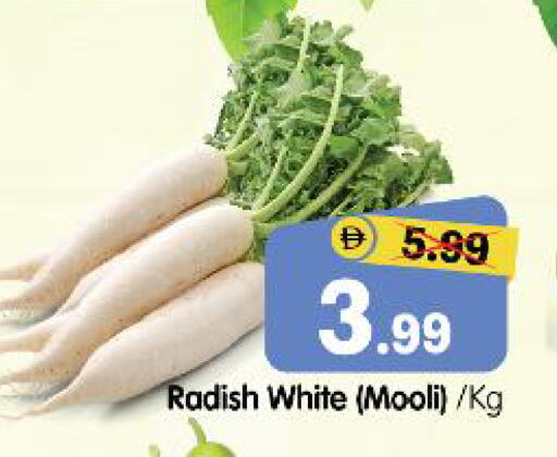 Radish available at هايبر ماركت المدينة in الإمارات العربية المتحدة , الامارات - أبو ظبي