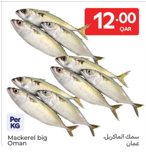 available at كارفور in قطر - الوكرة