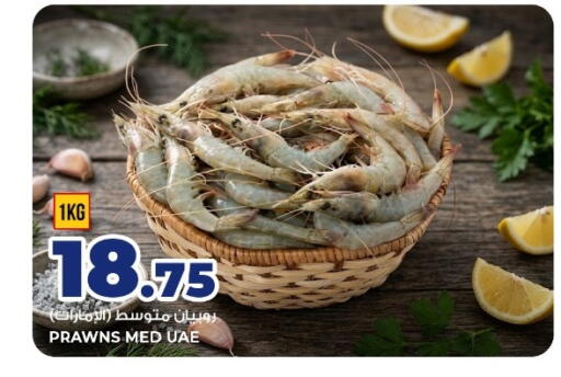 available at روابي هايبرماركت in قطر - الوكرة