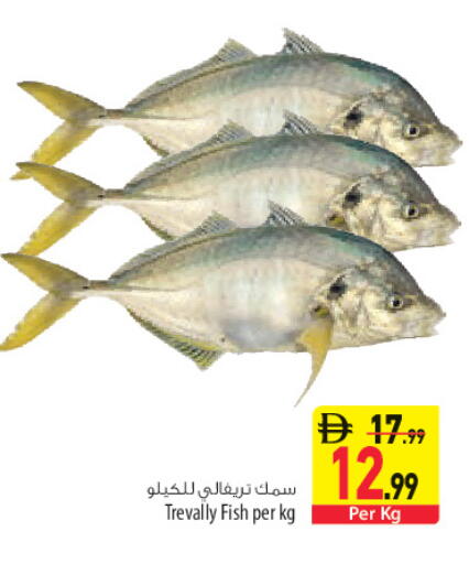 available at Safeer Market in UAE - Sharjah / Ajman