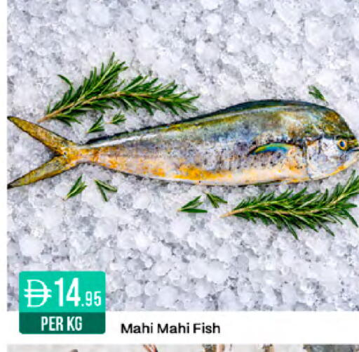 available at West Zone Supermarket in UAE - Sharjah / Ajman